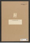 Entopyla australis Ehr. (de-Toni-Nr.: Genus 101, Species 3101) Zeichnungen Sammlung Grunow Nr. 6331 (NHMW-BOT-W0374969)